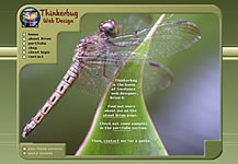 Screenshot of Thinkerbug Site - Version 4